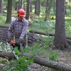 20112308130821-481.jpg